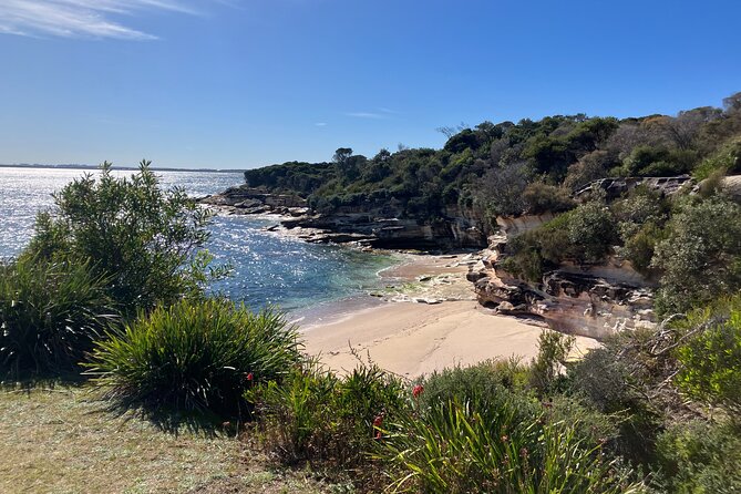 Sydney Private Tour Inc The Royal National Park and Symbio Zoo - Stop 5: Symbio Wildlife Park for koalas and kangaroos time
