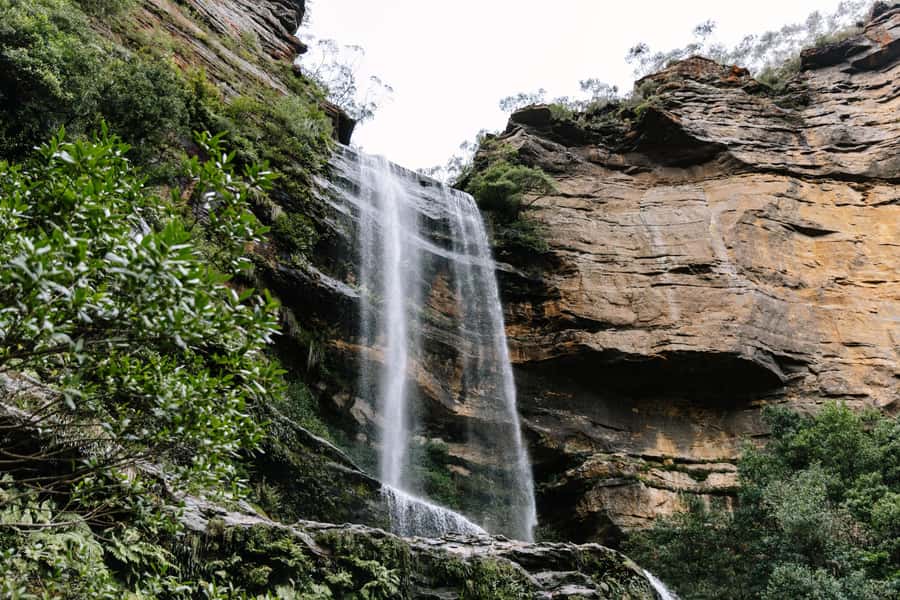 Sydney: Small Group Blue Mountains, Wildlife & Waterfalls - From Sydney to the Blue Mountains: a day built for momentum