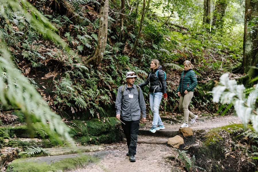 Sydney: Small Group Blue Mountains, Wildlife & Waterfalls - Scenic stops en route: quick lookouts, better photos, less stress