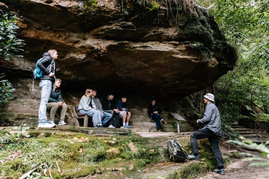 Sydney: Small Group Blue Mountains, Wildlife & Waterfalls - Small-group transport: comfort, timing, and why it matters