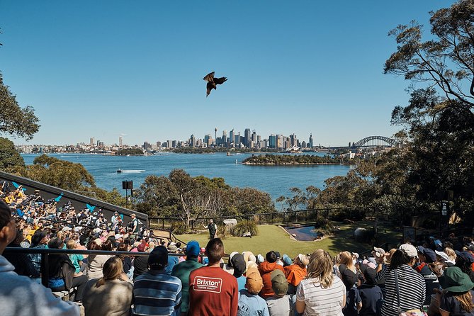 Sydney Taronga Zoo General Entry Ticket - Animal encounters (optional): when it’s worth paying extra