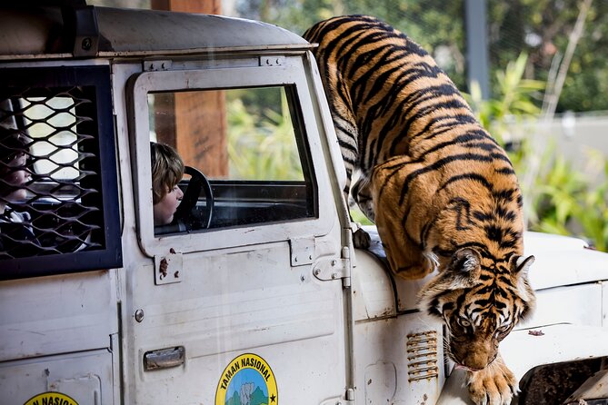 Sydney Taronga Zoo General Entry Ticket - Food, picnic, and what to do when exhibits slow down
