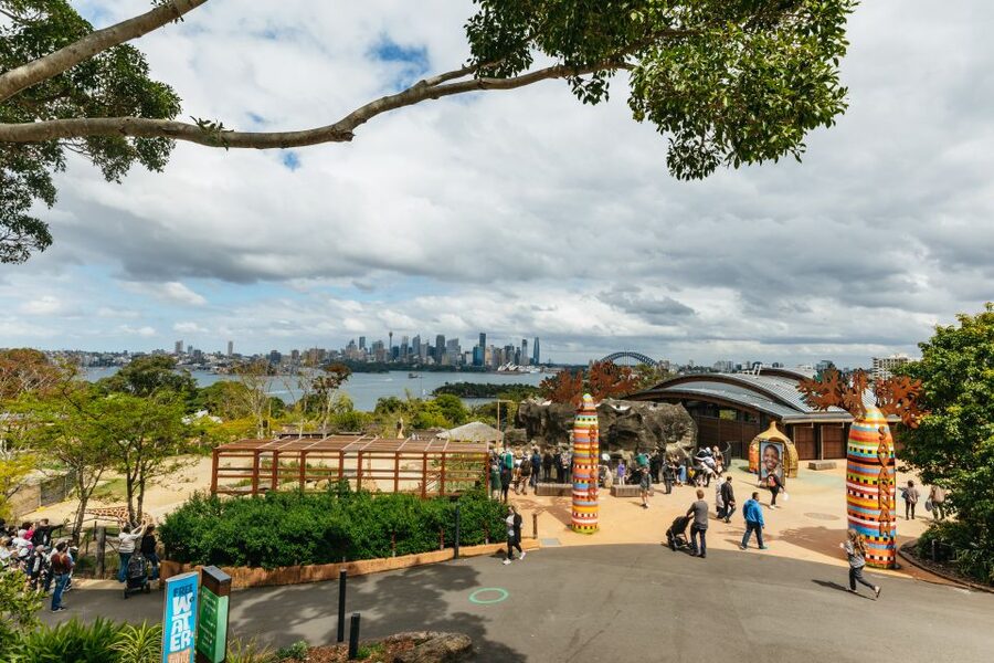 Sydney: Taronga Zoo Tickets - African Savannah: giraffes, bold enclosures, and a harbour-photo payoff
