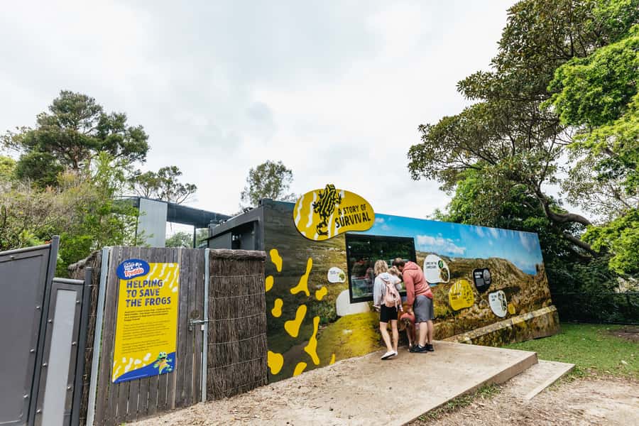 Sydney: Taronga Zoo Tickets - Seal Walk and Seals for the Wild: plan your timing, not just your route