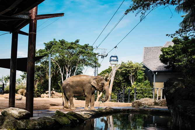 Sydney Taronga Zoo Wild Australia Experience - Wild Australia tour quick hits