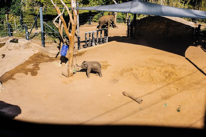 Sydney Taronga Zoo Wild Australia Experience - The zoo kitchen stop: how the feeding actually works