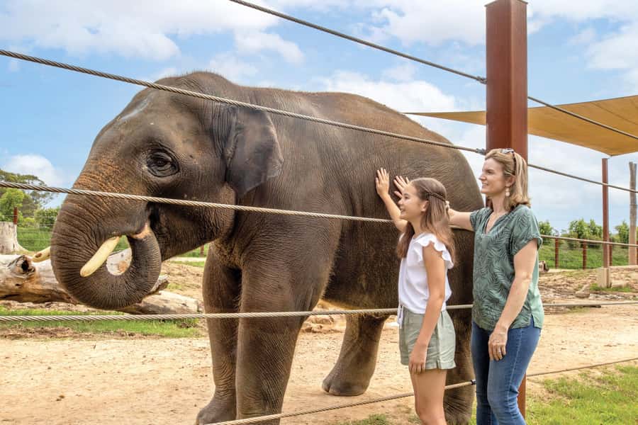 Sydney Zoo Admission Ticket - The zoo-and-aquarium combo in NSW: why it changes the kind of visit you get