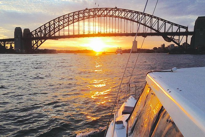 Taronga Zoo Entry & Return Ferry - Sydney Harbour - Native Animals and Big Shows: What to Prioritize