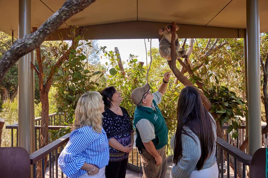 Taronga Zoo Sydney Wild Australia Experience - Should You Book the Taronga Zoo Wild Australia Experience?