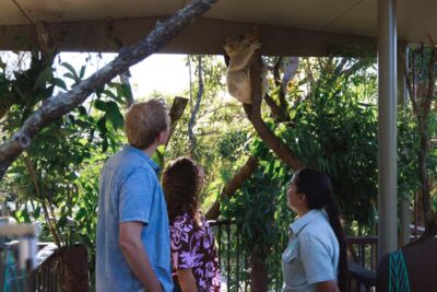Taronga Zoo Sydney Wild Australia Experience - Why a Keeper-Led Tour Feels Different Than Regular Zoo Entry
