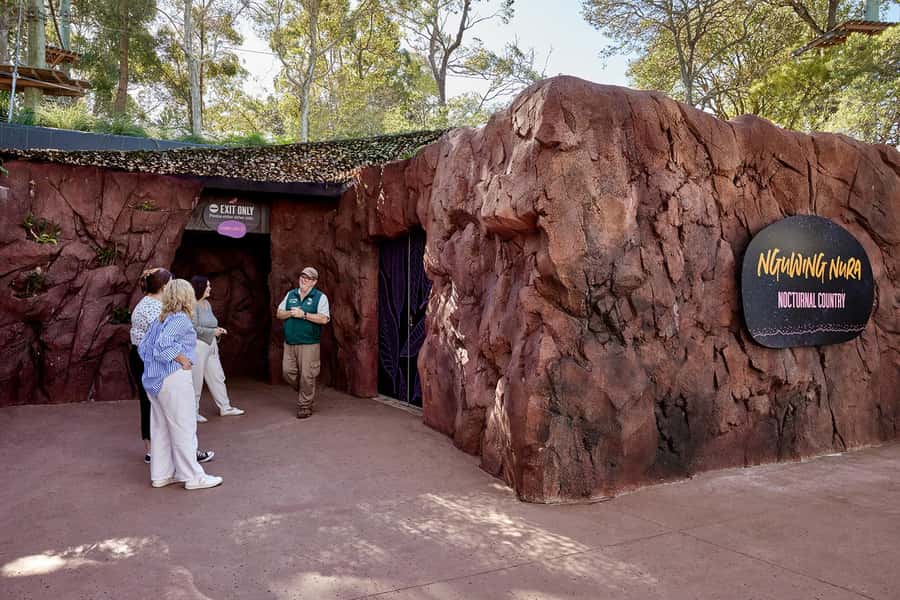Taronga Zoo Sydney Wild Australia Experience - What Animals You’ll Hear About (and How That Helps You See More)