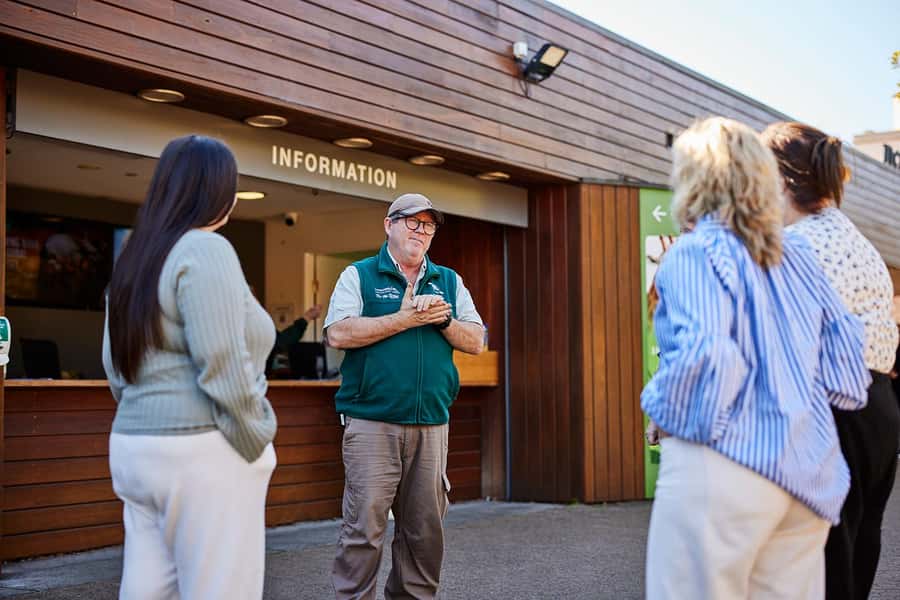 Taronga Zoo Sydney Wild Australia Experience - Who Should Book This Tour (and Who Might Want a Different Option)