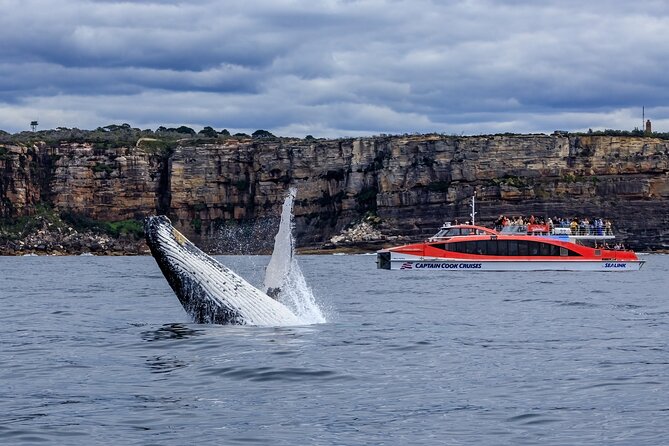 Taronga Zoo & Whale Watching Cruise Combo - Sydney Harbour - Taronga Zoo on the harbor foreshore: animals plus big views