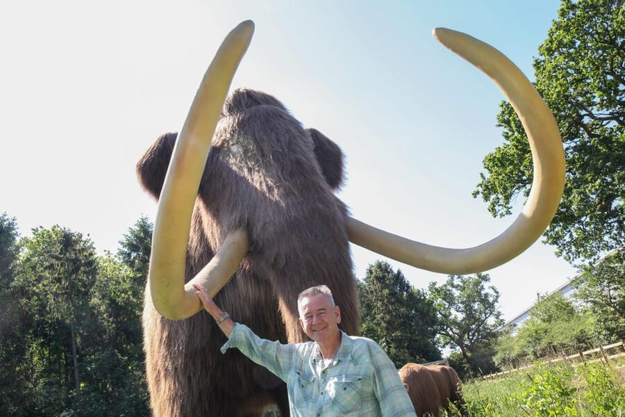 TELFORD: Hoo Zoo and Dinosaur World Entry Ticket - Should you book the Hoo Zoo and Dinosaur World entry ticket?