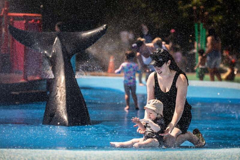 Toronto: Toronto Zoo Entry Ticket - Key things to know before you go