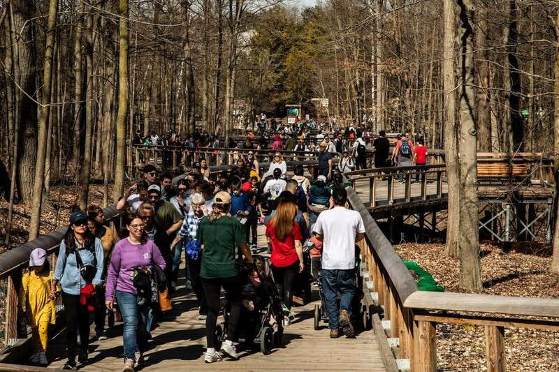 Toronto: Toronto Zoo Entry Ticket - What to prioritize for animals: 3,000+ animals and 300+ species