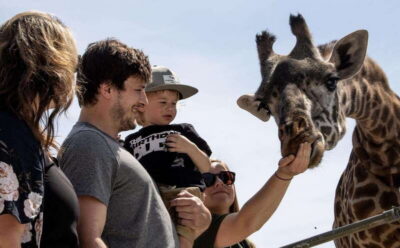 Toronto: Toronto Zoo Entry Ticket - Scale and layout: seven regions across a huge 710-acre day