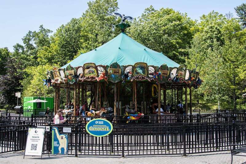 Toronto: Toronto Zoo Entry Ticket - Getting around and finding your parking/entry rhythm