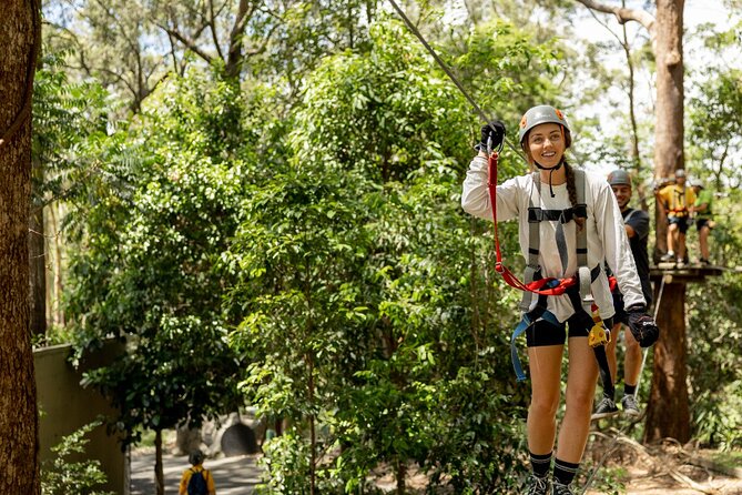 TreeTop Challenge Currumbin Wildlife Park - Key things to know before you go