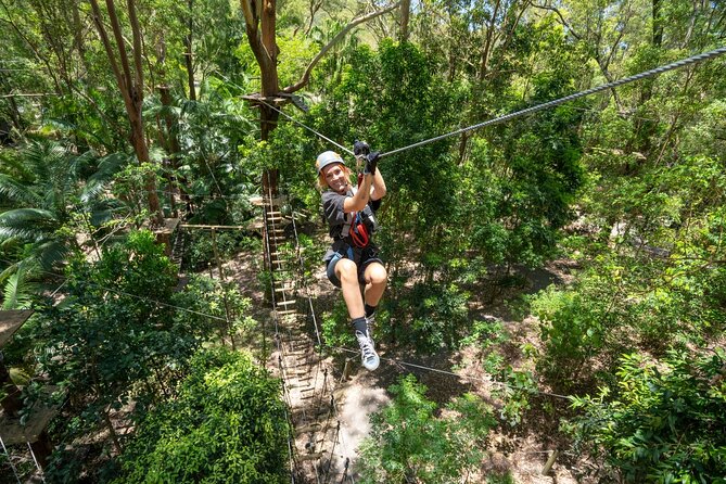 TreeTop Challenge Currumbin Wildlife Park - Kangaroos and Crocodiles: The Parts That Raise Your Heart Rate