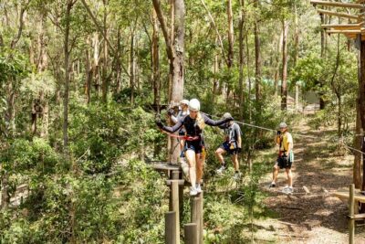 TreeTop Challenge Currumbin Wildlife Park - Meeting at Currumbin Wildlife Sanctuary and Getting Oriented