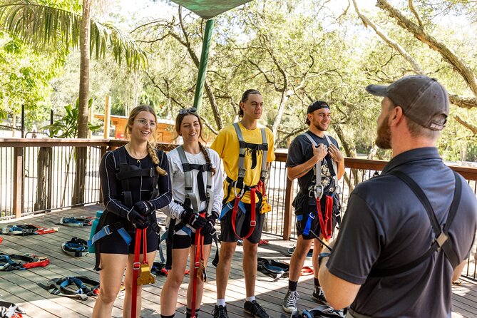 TreeTop Challenge Currumbin Wildlife Park - Who Should Book This (and Who Should Rethink It)