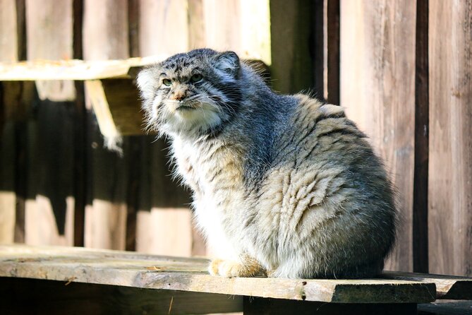 Trip to Ranua Wildlife Park - Your guide and the small-group setup (up to 8 travelers)