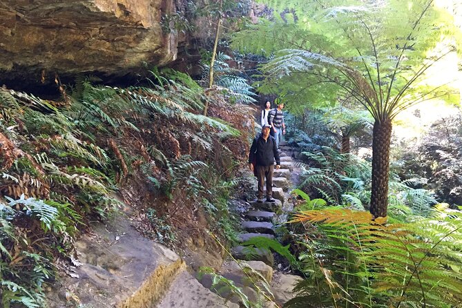 Ultimate Blue Mountains Private Tour with Scenic World and Wildlife Park - Scenic World Unlimited Rides: Skyway, Steep Railway, and Cableway