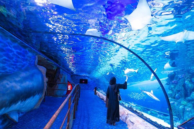 VIP Experience Dubai Aquarium & Underwater Zoo-As per Selection - The 48-Meter Tunnel and the 270-Degree View