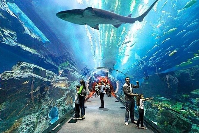 VIP Experience Dubai Aquarium & Underwater Zoo-As per Selection - How Long It Really Takes (30 Minutes to 1.5 Hours)