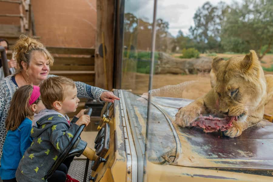 Werribee Open Range Zoo: Entry Ticket - A 30-Minute Escape from Melbourne into Open-Range Savanna