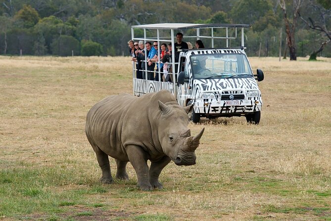 Werribee Zoo & Werribee Mansion Tour - Price and Value: Getting $104 of Real Experience in 7 Hours
