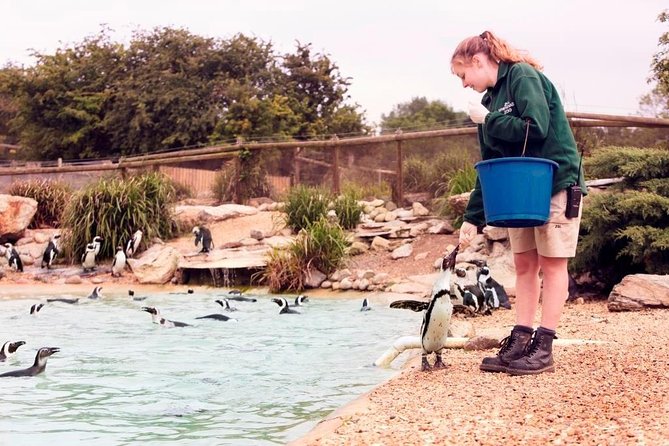 Whipsnade Zoo Entry Ticket - Pre-booked entry at Whipsnade: why it’s a smart way to spend $41.41