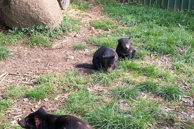 Wings Wildlife Park and Scenic Tour - Key things to know before you go