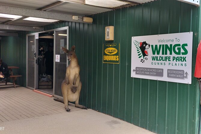 Wings Wildlife Park and Scenic Tour - A 6-hour Burnie day that mixes animals and coastal town vibes