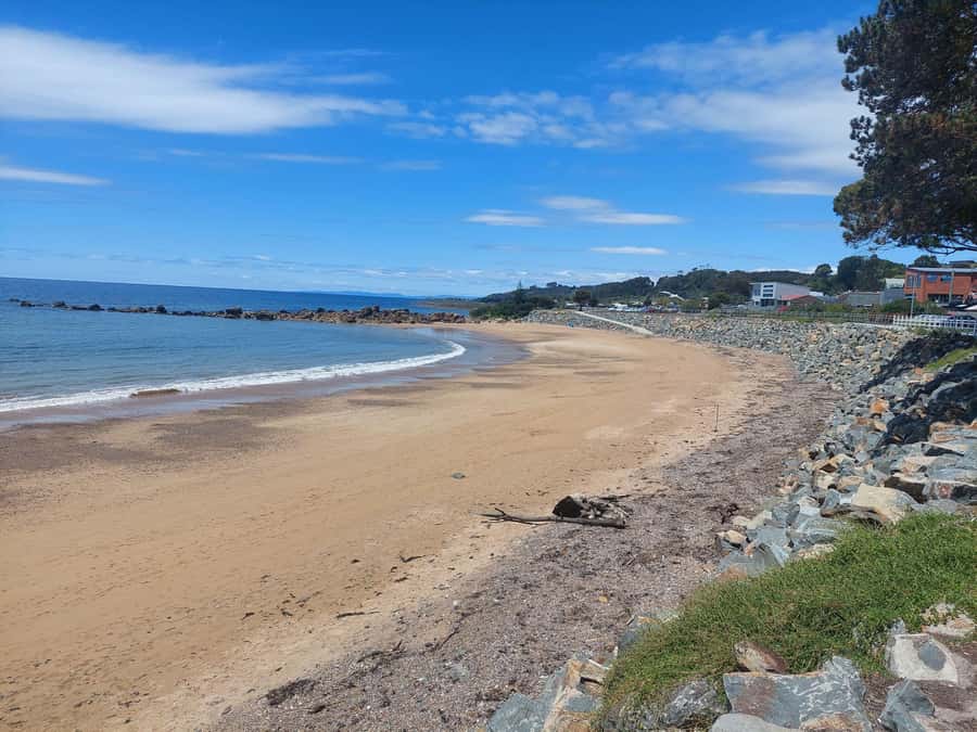 Wings Wildlife Park Burnie Shore Excursion - Price and value: is $92 worth it on a cruise day?