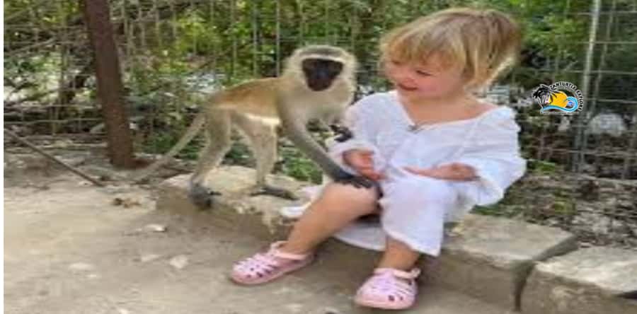 Zanzibar: Nungwi Kilosa Zoo Conservation Tour - Key things to know before you go