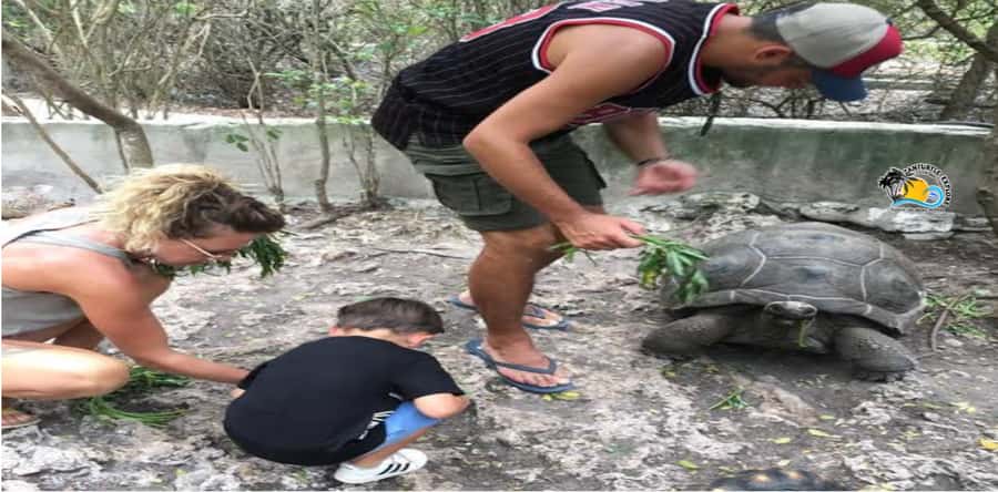 Zanzibar: Nungwi Kilosa Zoo Conservation Tour - More Than Monkeys: Reptiles, Tortoises, Ostriches, Deer, and Crocodiles