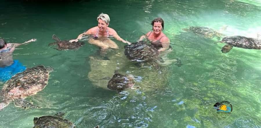 Zanzibar: Nungwi Kilosa Zoo & Swimming with Turtles - Price and Value: What $61 Really Covers