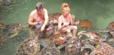Zanzibar: Nungwi Kilosa Zoo & Swimming with Turtles - Getting to Nungwi: Pickup Spots and Timing Reality