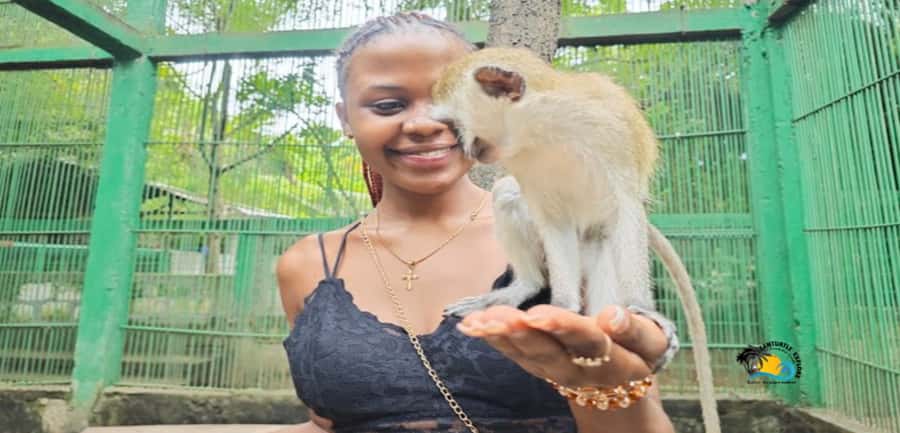 Zanzibar: Nungwi Kilosa Zoo & Swimming with Turtles - What to Bring (So Your Day Stays Easy)