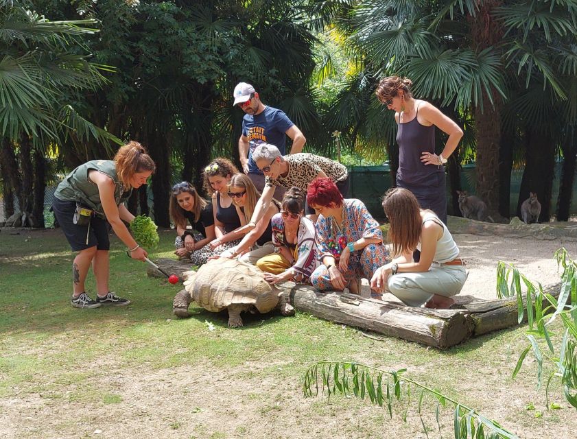 Zoo al Maglio: 1-Day Ticket for the Jungle of Ticino - What the Zoo Experience Actually Feels Like (2 Hours, Not a Half-Day Stretch)