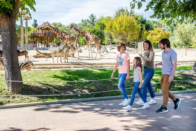 Zoo Aquarium Madrid Admission Ticket - Key highlights before you go