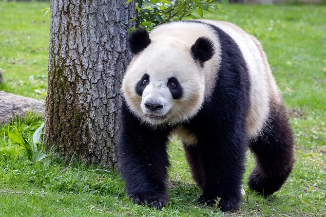 Zoo Aquarium Madrid Admission Ticket - Price and logistics: is $34.48 worth it?