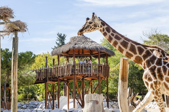 Zoo Aquarium Madrid Admission Ticket - When holidays change the vibe (and what to do about it)