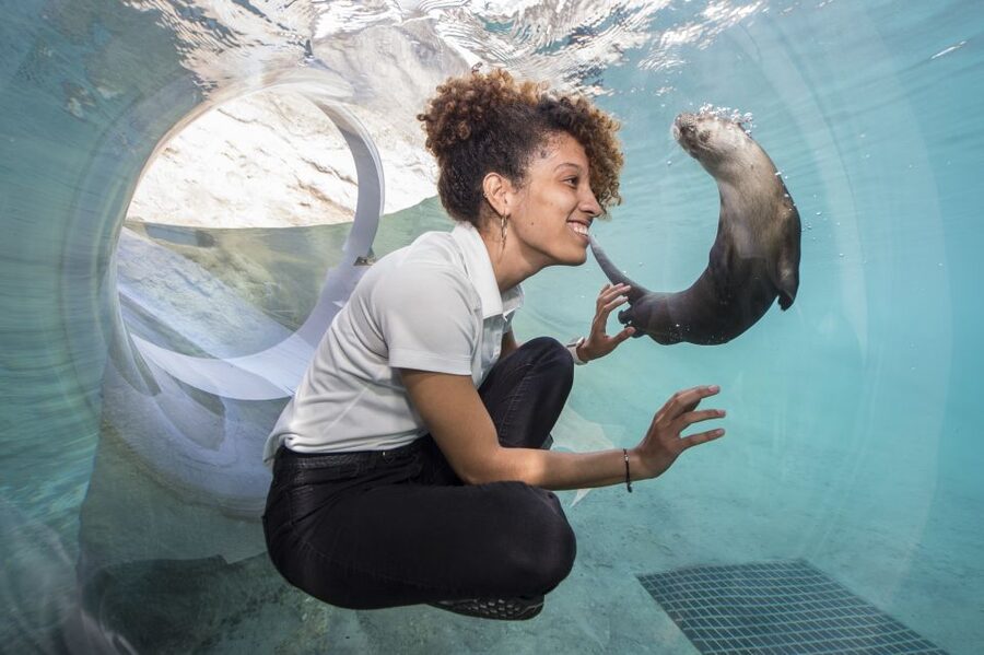 Zoo Miami: General Admission Ticket - Key points before you go