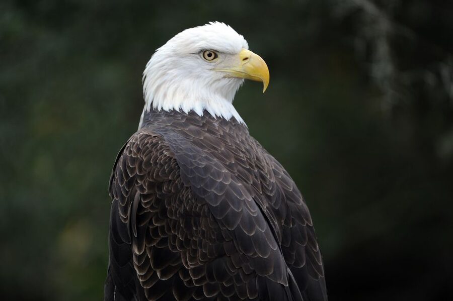 Zoo Miami: General Admission Ticket - Entering the zoo and getting your bearings fast