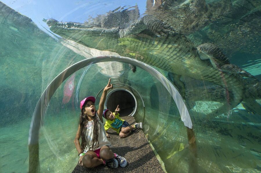 Zoo Miami: General Admission Ticket - Amazon and Beyond: rainforest drama plus the 48,000-gallon aquarium