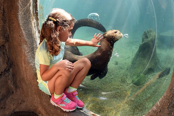Zoo Miami Ticket with Optional Upgrade - Zoo Miami Entry That Starts Fast at the Main Entrance