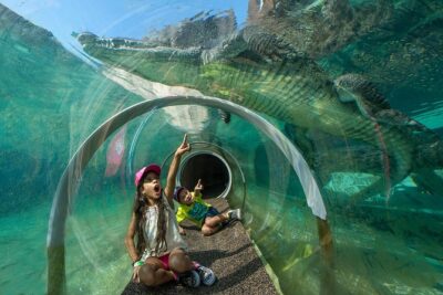 Zoo Miami Ticket with Optional Upgrade - Cageless Encounters: What Makes the Animal Viewing Different